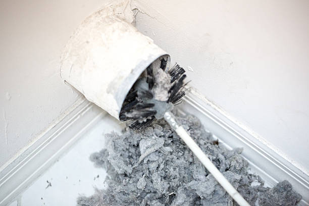 Best Air Duct Sanitizing Services  in Roland, IA